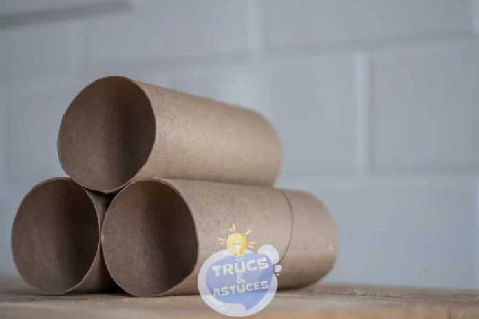 3 idees geniales pour recycler vos rouleaux de papier toilette