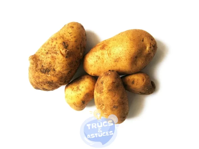 5 facons dempecher la germination des pommes de terre