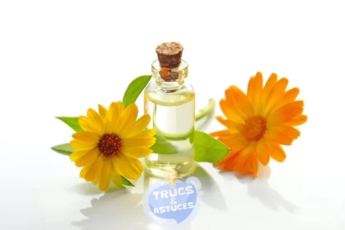 5 huiles essentielles pour parfumer naturellement votre interieur