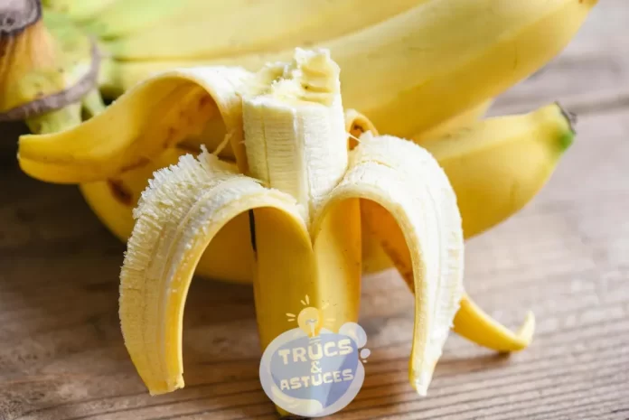 7 utilisations des pelures de banane quil faut connaitre