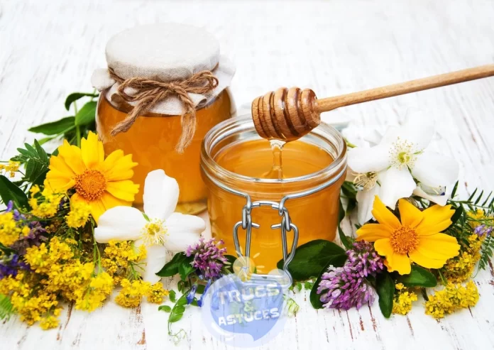 le miel dabeille 5 bienfaits therapeutiques
