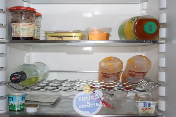 manuel pratique de conservation des aliments au refrigerateur et congelateur
